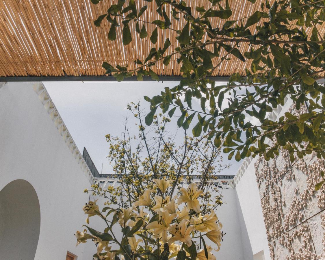 Casa Carmen Morelos Oaxaca Exteriér fotografie