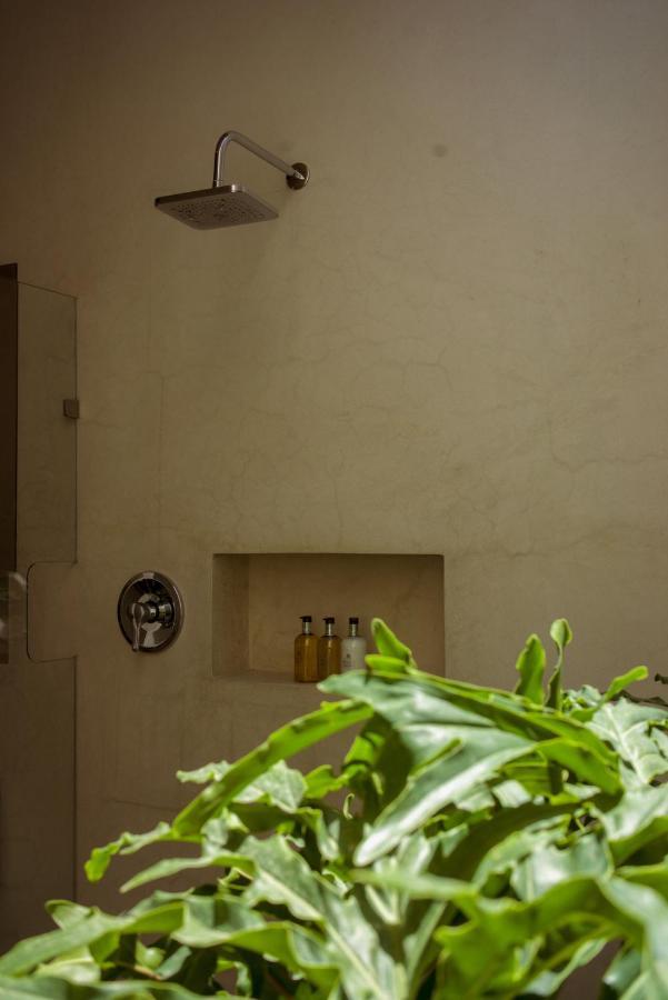Casa Carmen Morelos Oaxaca Exteriér fotografie